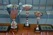 II Turniej piłki siatkowej drużyn mieszanych o Puchar Wójta Gminy Dąbrówka, 